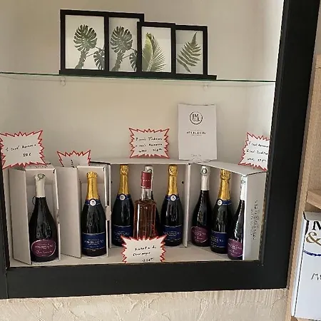 Maison Indiv Au Cœur Du Vignoble Champenois *